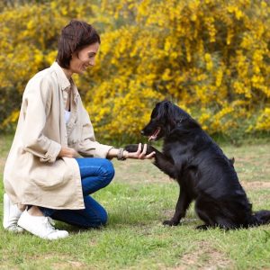 Advanced Pet Care Mastery