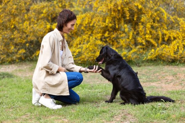 Advanced Pet Care Mastery
