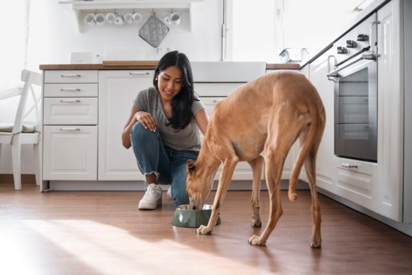 Pet Health and Nutrition Basics
