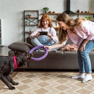Behavioral Training for Pets