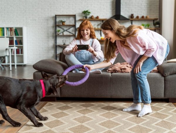 Behavioral Training for Pets